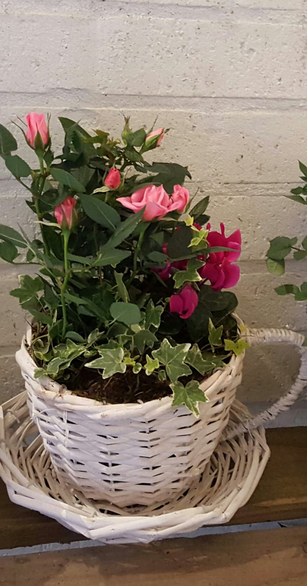 jugs-baskets-floral-arrangements-rugeley-florist-009