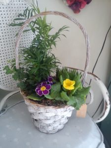 Planted flower basket arrangements - Rugeley Florist Fine Flowers